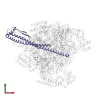 V-type ATP synthase subunit D in PDB entry 8gxx, assembly 1, front view.