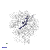 V-type ATP synthase subunit D in PDB entry 8gxx, assembly 1, side view.