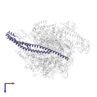 V-type ATP synthase subunit D in PDB entry 8gxx, assembly 1, top view.