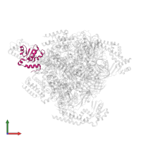 V-type ATP synthase subunit F in PDB entry 8gxx, assembly 1, front view.