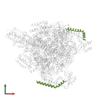 V-type ATP synthase, subunit (VAPC-THERM) in PDB entry 8gxx, assembly 1, front view.