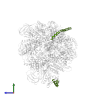 V-type ATP synthase, subunit (VAPC-THERM) in PDB entry 8gxx, assembly 1, side view.