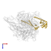 V-type ATP synthase subunit E in PDB entry 8gxx, assembly 1, top view.