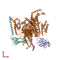 PDB entry 8gz1 coloured by chain, front view.
