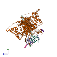 PDB entry 8gz1 coloured by chain, side view.