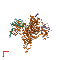 PDB entry 8gz1 coloured by chain, top view.