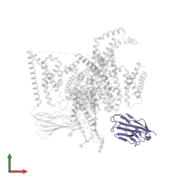 Sodium channel subunit beta-2 in PDB entry 8gz1, assembly 1, front view.