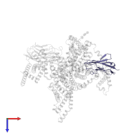 Sodium channel subunit beta-2 in PDB entry 8gz1, assembly 1, top view.