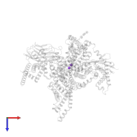 SODIUM ION in PDB entry 8gz1, assembly 1, top view.