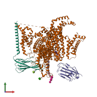PDB entry 8gz2 coloured by chain, front view.