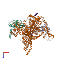 PDB entry 8gz2 coloured by chain, top view.