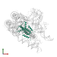 Histone H3.1 in PDB entry 8h1t, assembly 1, front view.