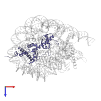 Histone H2A type 1-D in PDB entry 8h1t, assembly 1, top view.