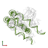 DNA (187-MER) in PDB entry 8h1t, assembly 1, front view.