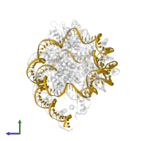 DNA (187-MER) in PDB entry 8h1t, assembly 1, side view.