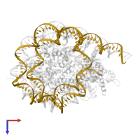 DNA (187-MER) in PDB entry 8h1t, assembly 1, top view.