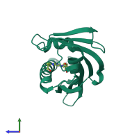 Monomeric assembly 1 of PDB entry 8h3j coloured by chemically distinct molecules, side view.