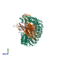 PDB entry 8h3q coloured by chain, side view.