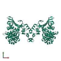 Saccharopine dehydrogenase in PDB entry 8h4z, assembly 1, front view.