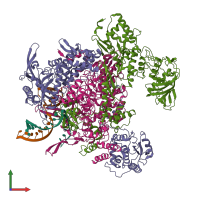 Hetero pentameric assembly 1 of PDB entry 8h69 coloured by chemically distinct molecules, front view.