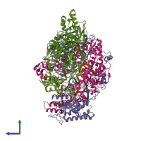 Hetero pentameric assembly 1 of PDB entry 8h69 coloured by chemically distinct molecules, side view.