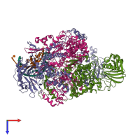 Hetero pentameric assembly 1 of PDB entry 8h69 coloured by chemically distinct molecules, top view.