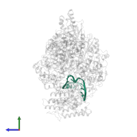 RNA (5'-R(*UP*AP*AP*AP*CP*UP*CP*CP*UP*GP*CP*UP*UP*UP*UP*GP*CP*U)-3') in PDB entry 8h69, assembly 1, side view.