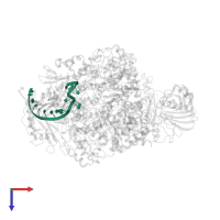 RNA (5'-R(*UP*AP*AP*AP*CP*UP*CP*CP*UP*GP*CP*UP*UP*UP*UP*GP*CP*U)-3') in PDB entry 8h69, assembly 1, top view.