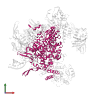 RNA-directed RNA polymerase catalytic subunit in PDB entry 8h69, assembly 1, front view.