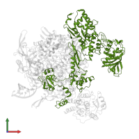 Polymerase basic protein 2 in PDB entry 8h69, assembly 1, front view.