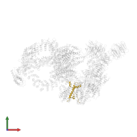 Transcription initiation factor TFIID subunit 10 in PDB entry 8h7g, assembly 1, front view.