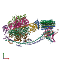 PDB entry 8h9s coloured by chain, front view.