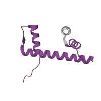 The deposited structure of PDB entry 8hak contains 2 copies of Pfam domain PF00125 (Core histone H2A/H2B/H3/H4) in Histone H2B type 1-J. Showing 1 copy in chain H.