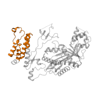 The deposited structure of PDB entry 8hak contains 1 copy of Pfam domain PF00439 (Bromodomain) in Histone acetyltransferase p300. Showing 1 copy in chain K [auth N].