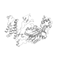 The deposited structure of PDB entry 8hak contains 1 copy of Pfam domain PF00569 (Zinc finger, ZZ type) in Histone acetyltransferase p300. Showing 1 copy in chain K [auth N].
