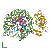 PDB entry 8hal coloured by chain, front view.
