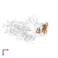 rabbit antibody 9H1 light chain in PDB entry 8hec, assembly 1, top view.