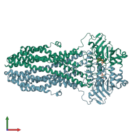 PDB entry 8hf5 coloured by chain, front view.