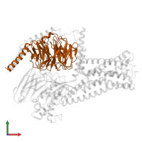 Guanine nucleotide-binding protein G(I)/G(S)/G(T) subunit beta-1 in PDB entry 8hj0, assembly 1, front view.