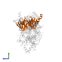Guanine nucleotide-binding protein G(I)/G(S)/G(T) subunit beta-1 in PDB entry 8hj0, assembly 1, side view.