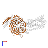 Guanine nucleotide-binding protein G(I)/G(S)/G(T) subunit beta-1 in PDB entry 8hj0, assembly 1, top view.