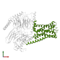 Probable G-protein coupled receptor 21 in PDB entry 8hj0, assembly 1, front view.