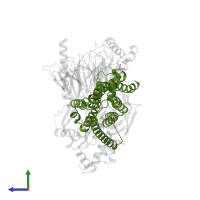Probable G-protein coupled receptor 21 in PDB entry 8hj0, assembly 1, side view.