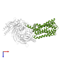 Probable G-protein coupled receptor 21 in PDB entry 8hj0, assembly 1, top view.
