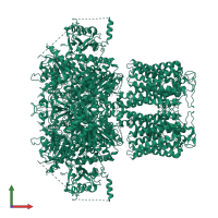 Potassium channel subfamily T member 1 in PDB entry 8hk6, assembly 1, front view.