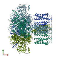 PDB entry 8hkk coloured by chain, front view.
