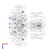 POTASSIUM ION in PDB entry 8hkk, assembly 1, top view.