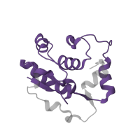 The deposited structure of PDB entry 8hkv contains 1 copy of Pfam domain PF00572 (Ribosomal protein L13) in Large ribosomal subunit protein uL13. Showing 1 copy in chain J [auth L13P].