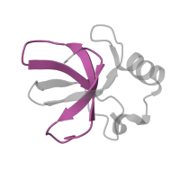 The deposited structure of PDB entry 8hkv contains 2 copies of Pfam domain PF00467 (KOW motif) in Large ribosomal subunit protein eL14. Showing 1 copy in chain K [auth L141].