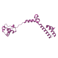 The deposited structure of PDB entry 8hkv contains 1 copy of Pfam domain PF01280 (Ribosomal protein L19e) in Large ribosomal subunit protein eL19. Showing 1 copy in chain Q [auth L19E].